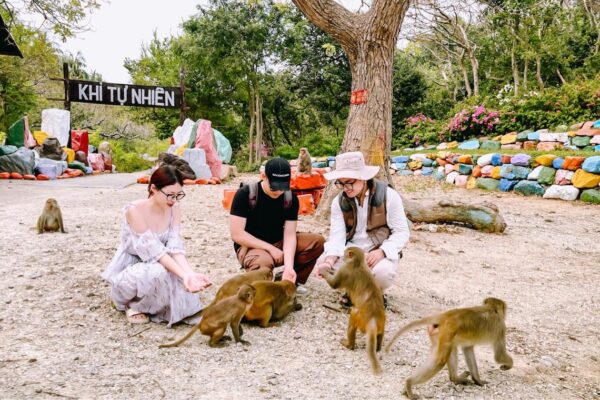 vé vào đảo khỉ nha trang